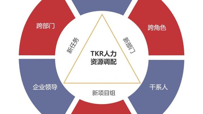 企业灵活用工方案设计：如何构建高效的人力资源策略**